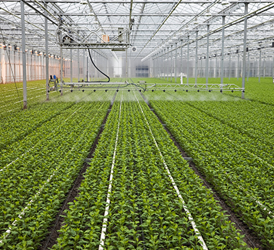 Global Greenhouse Irrigation Systems Market 2018-2022